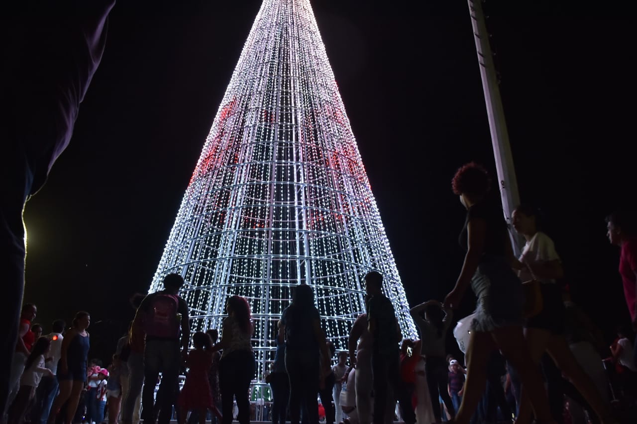 Un inmenso árbol de navidad ilumina el Malecón del Río.