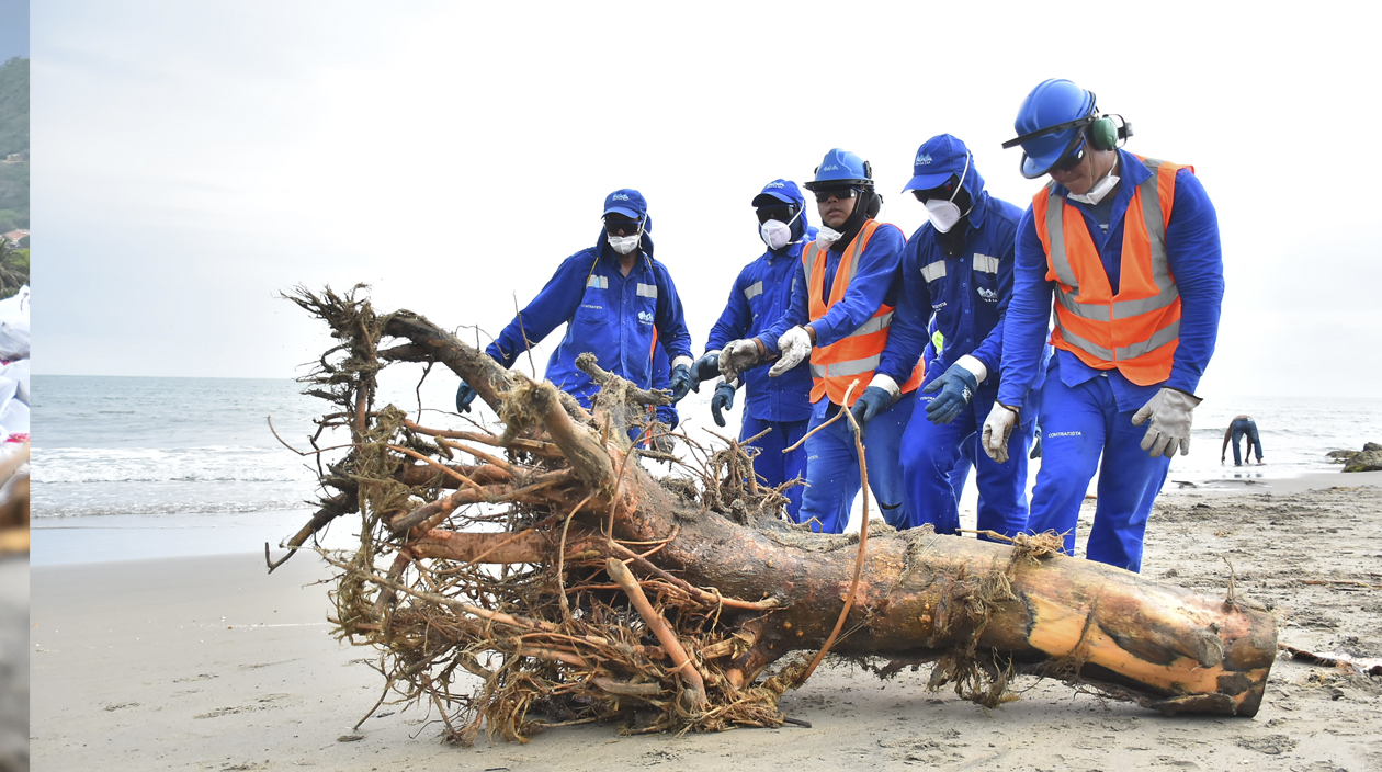 El 80 por ciento de la basura encontrada en las playas de Puerto Colombia es madera 