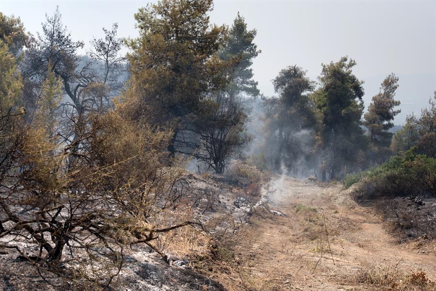 Uno de los incendios afectó la pequeña isla de Elafónissos, al sur de la península del Peloponeso, donde tuvieron que ser evacuados varios cámpings.