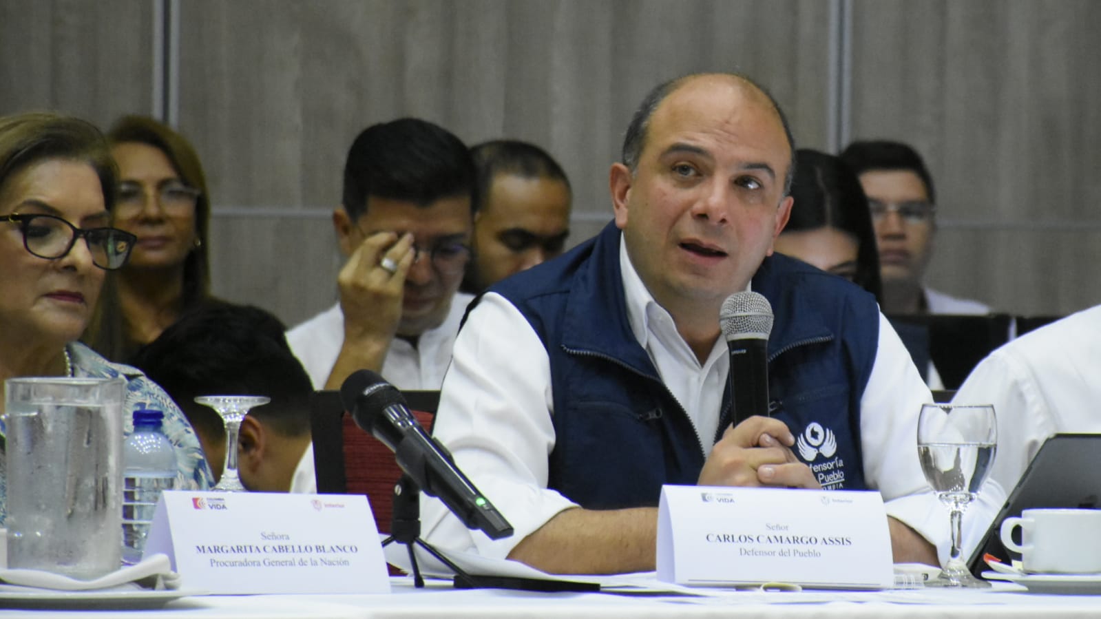 Carlos Camargo Assis, Defensor del Pueblo.
