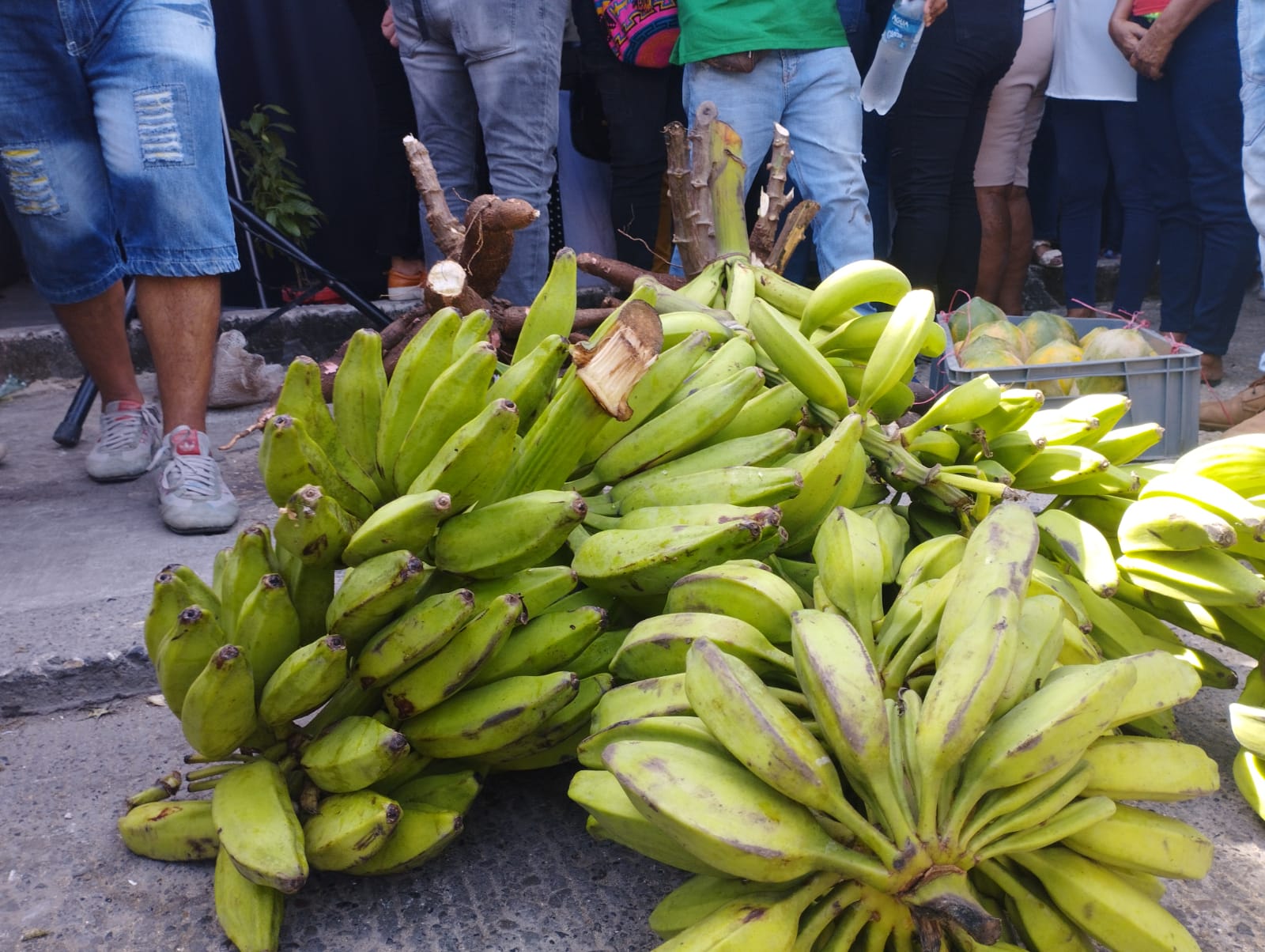  Toneladas de alimentos llegaron a Barranquilla, desde Cachenche
