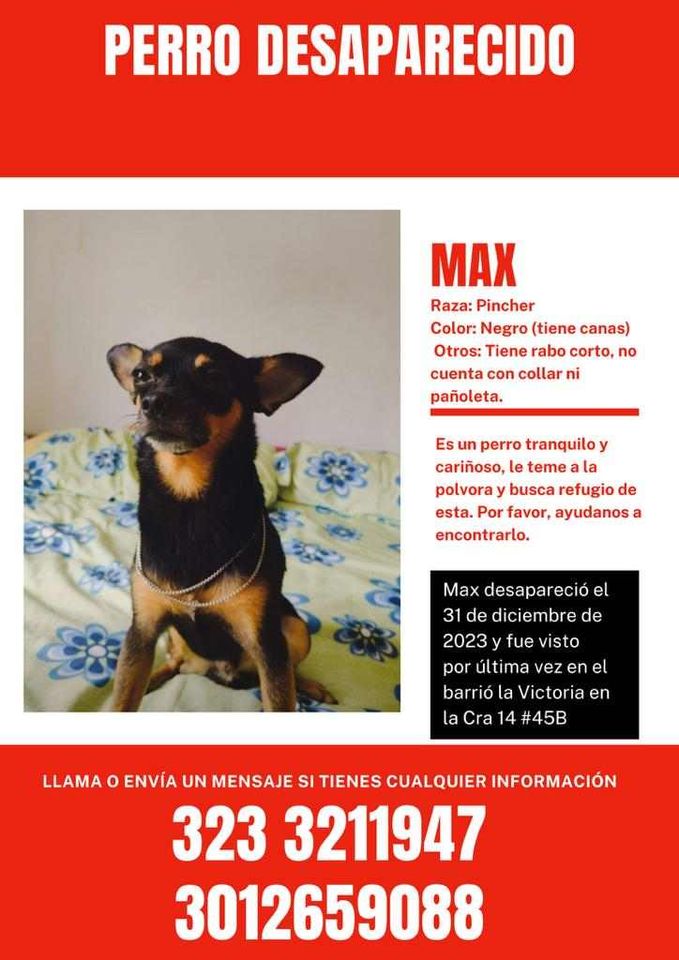 'Max' se encuentra desaparecido.