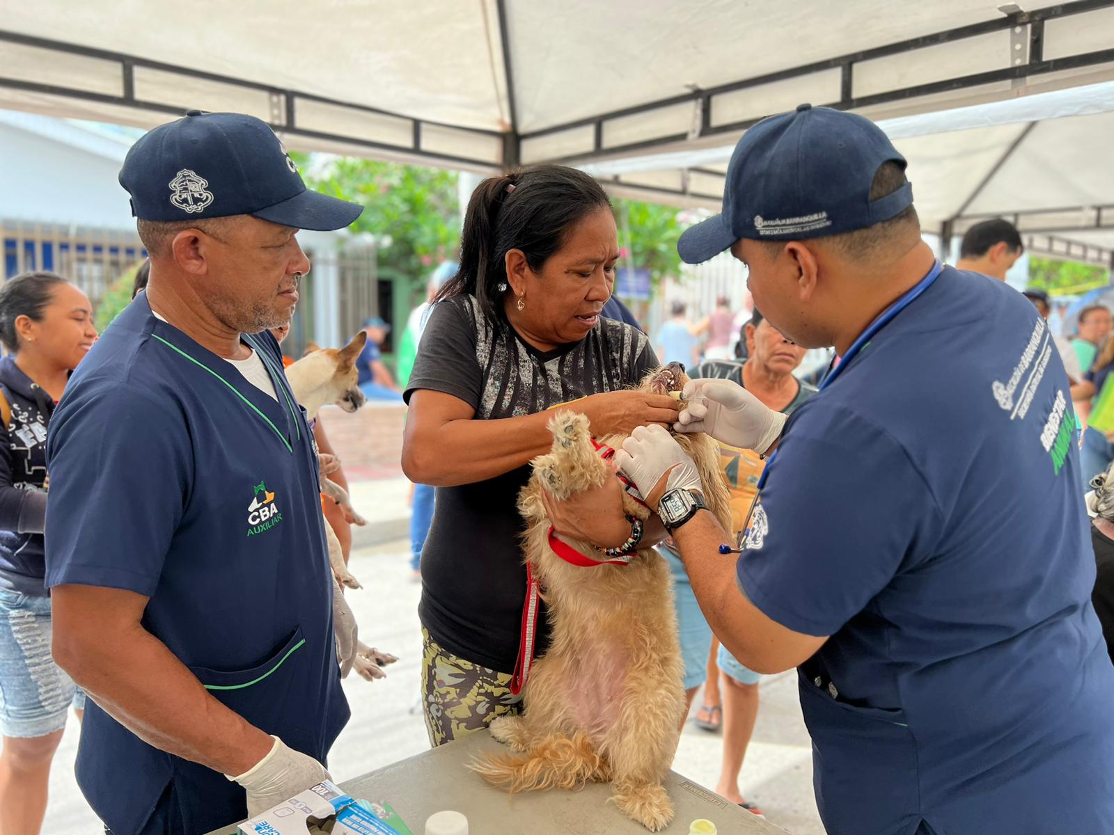 La jornada de atención se amplió a las mascotas de La Playa.