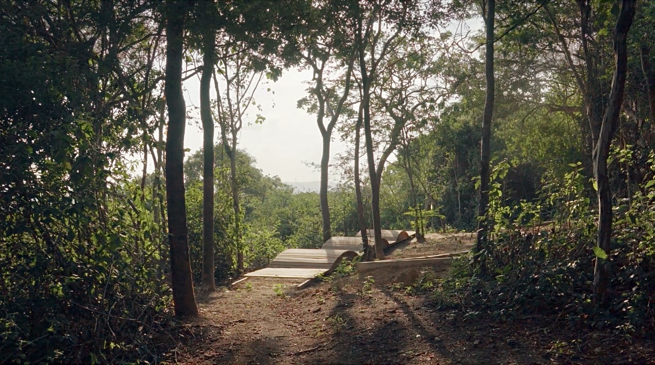 El Bosque Urbano de Miramar.