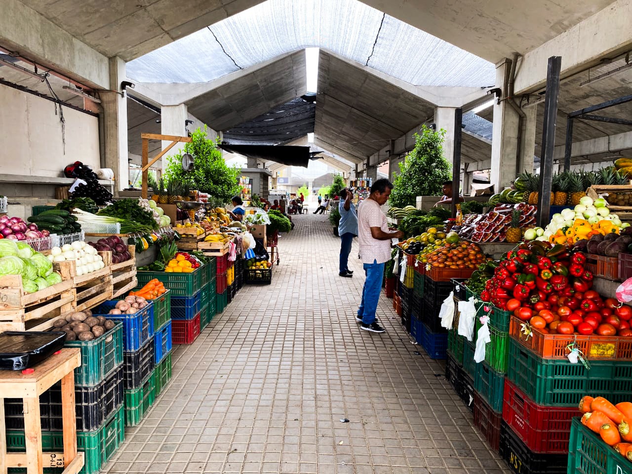 Toda una oferta variada de frutas y verduras en el Gran Bazar