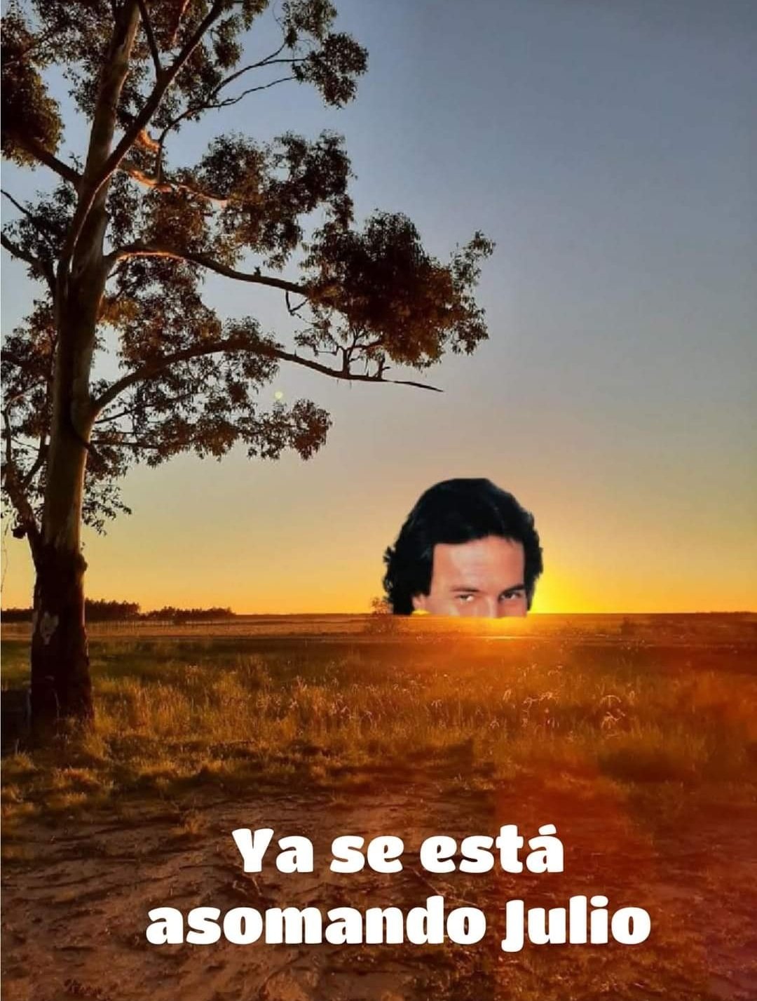 Meme de Julio Iglesias.