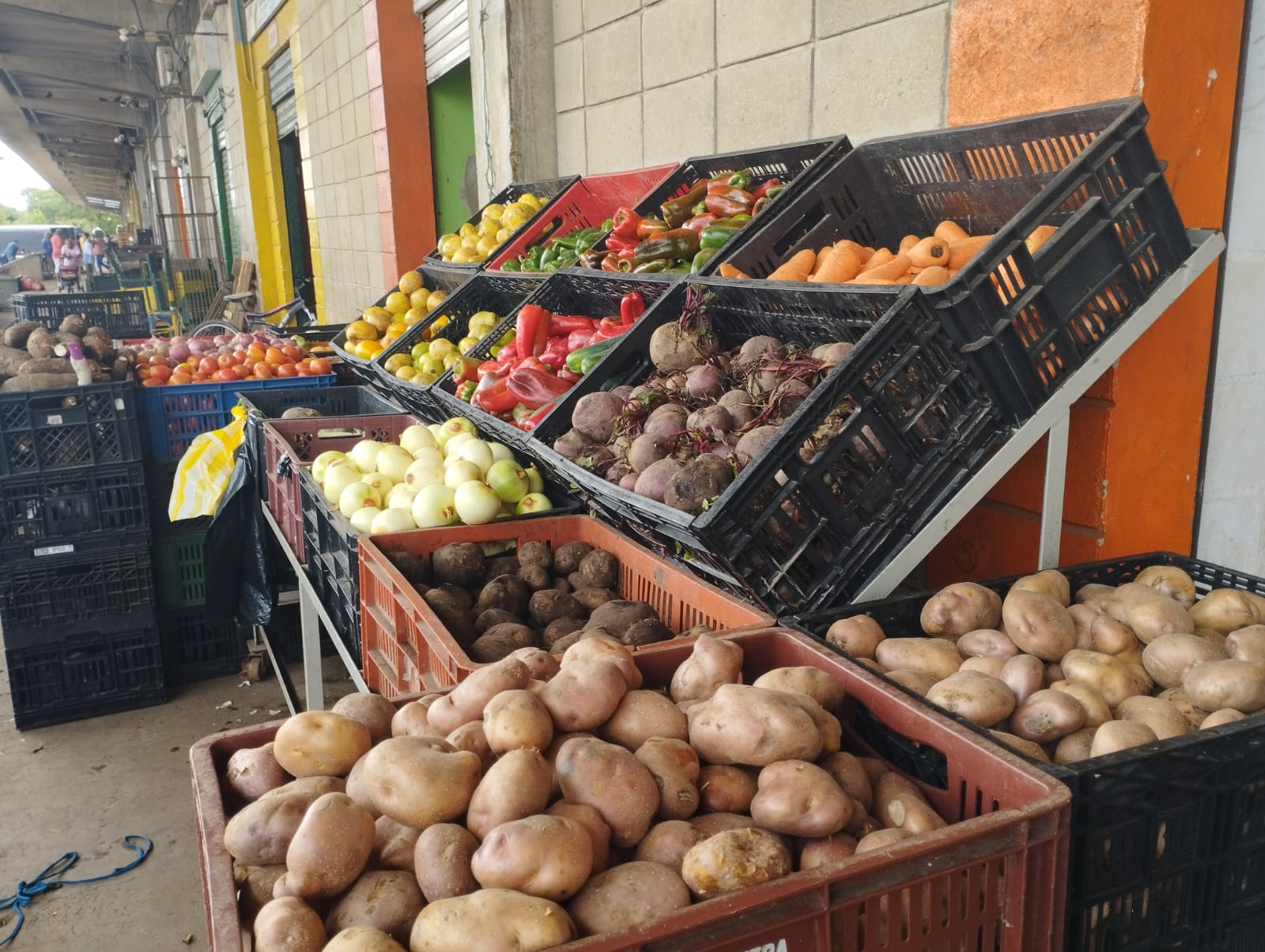 Productos en la Gran Central de Abastos. 