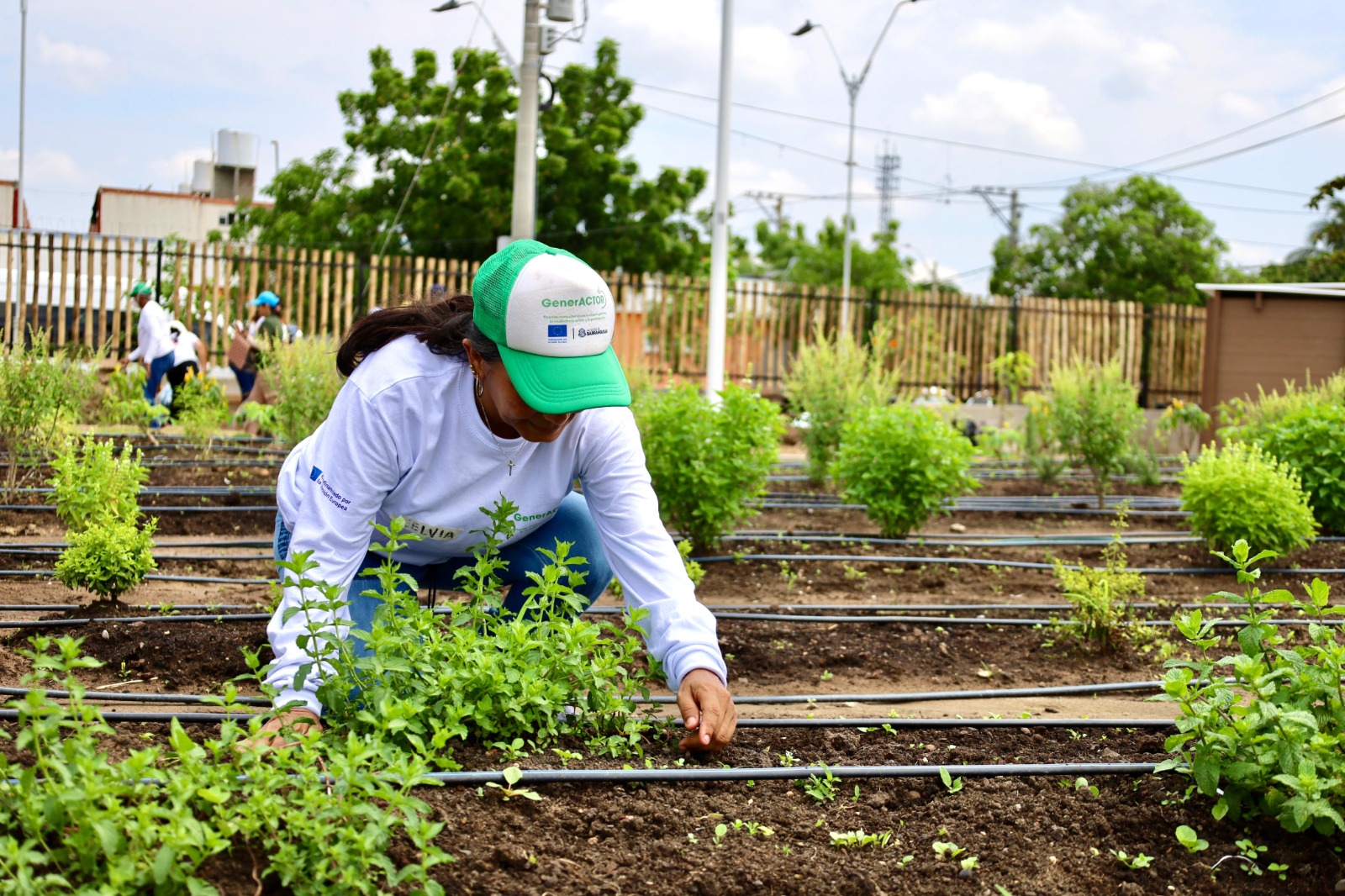 Parque productivo Las Gardenias