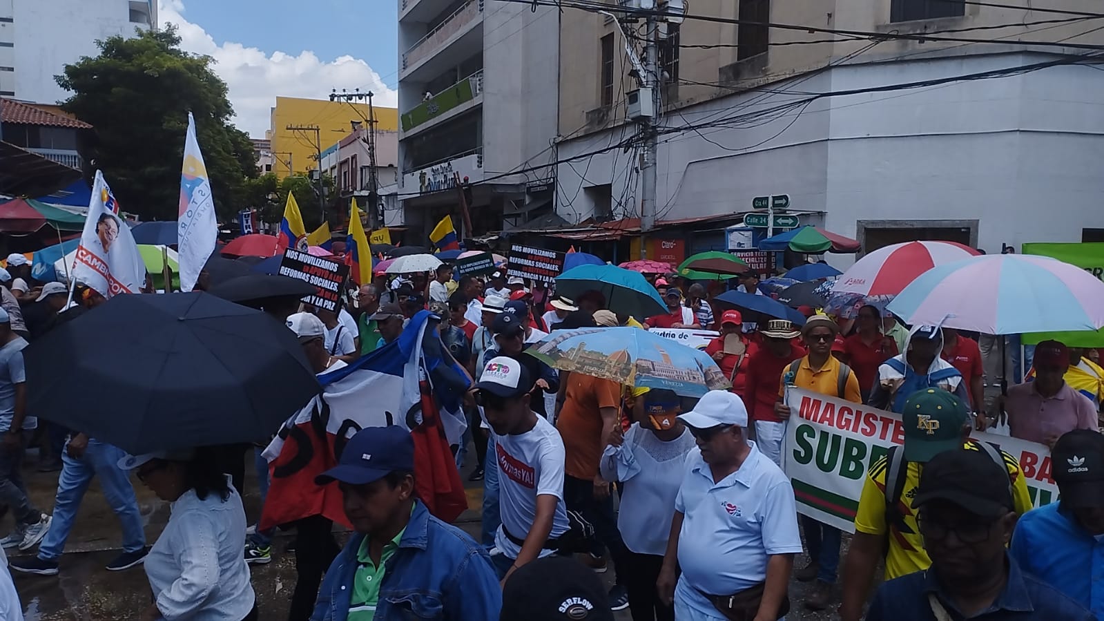 Marcha estuvo liderada por la Adea.