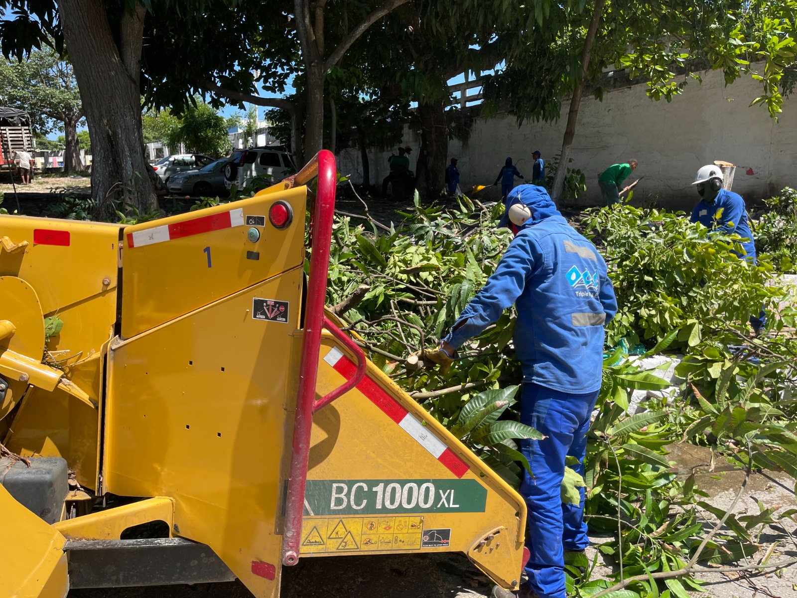 Durante la jornada se realizan podas de zonas verdes.