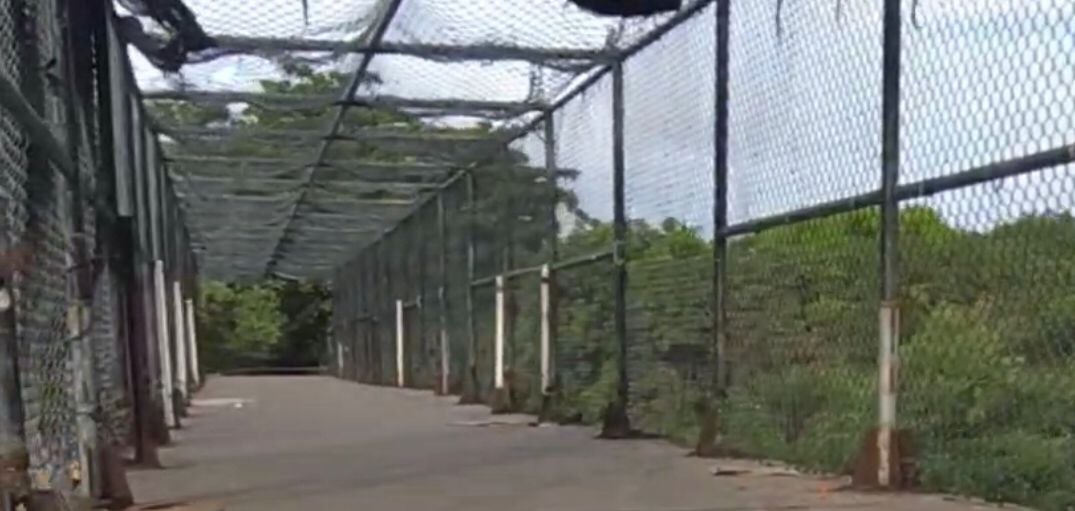 Enmallado del puente peatonal.