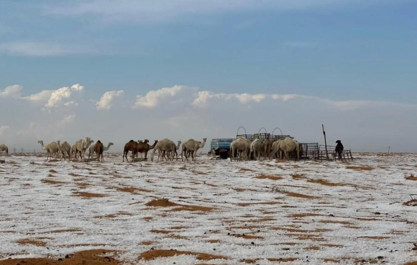 Imagen de la nevada.