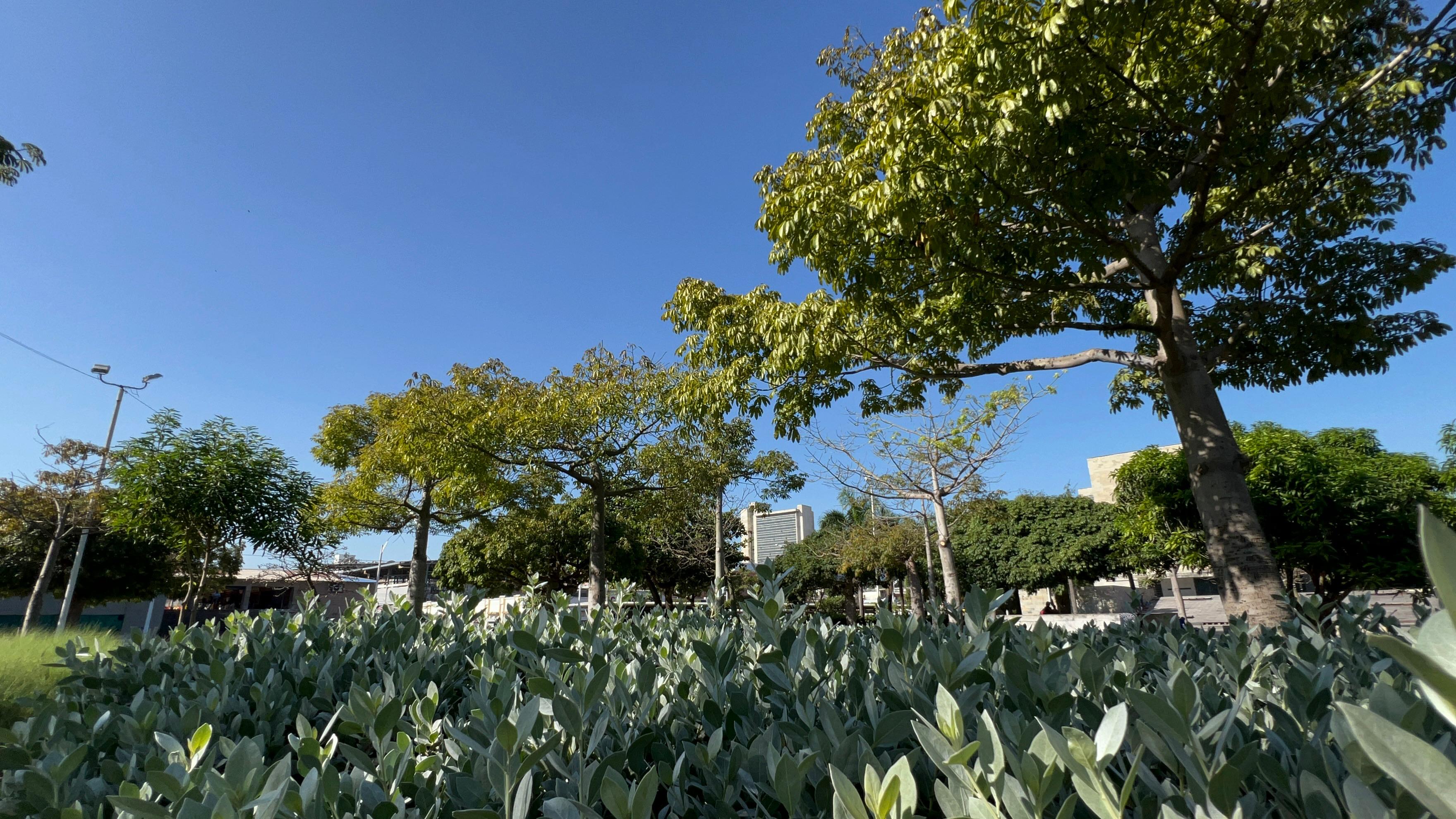 Así luce la zona verde de la calle 30 con carrera 46.