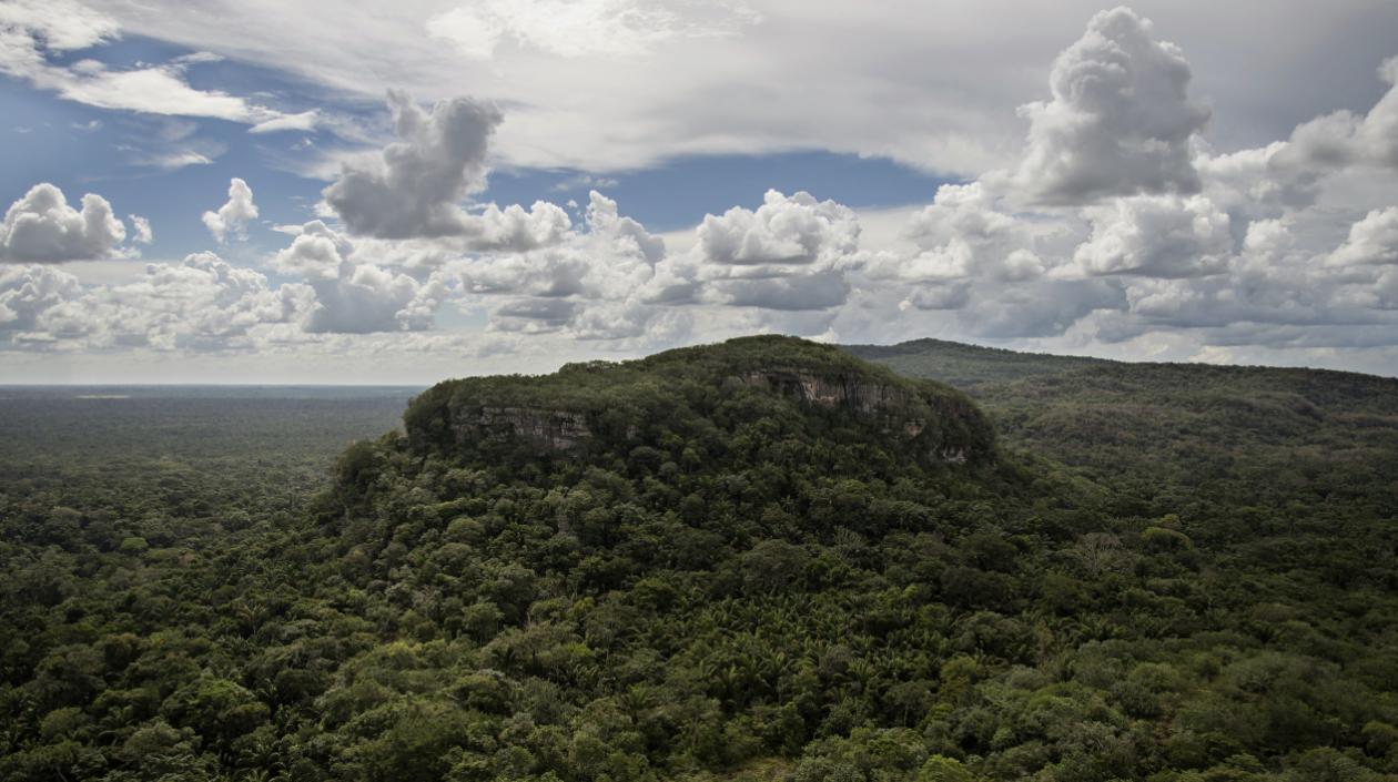 Parque Nacional de Chibiriquete.