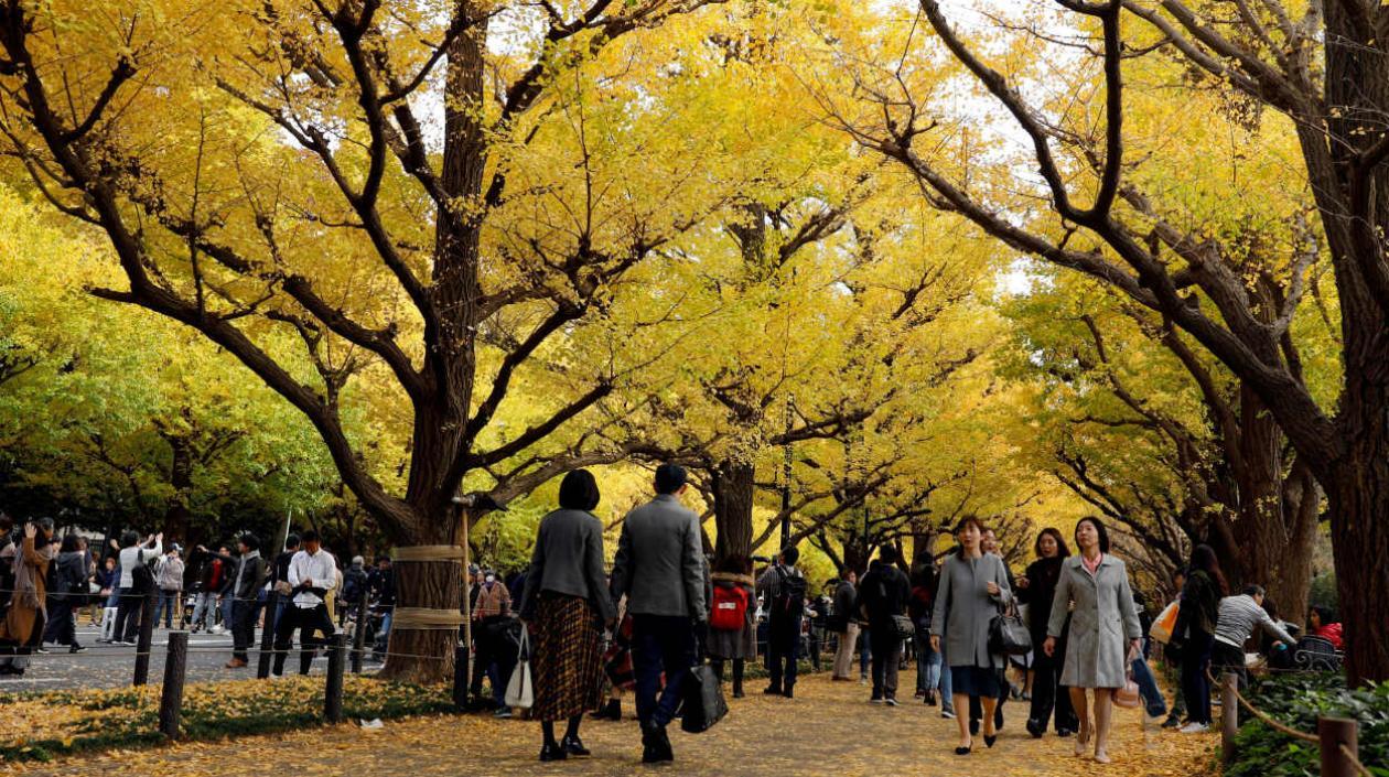 Las concurridas calles de Tokio, durante el otoño de este año. 