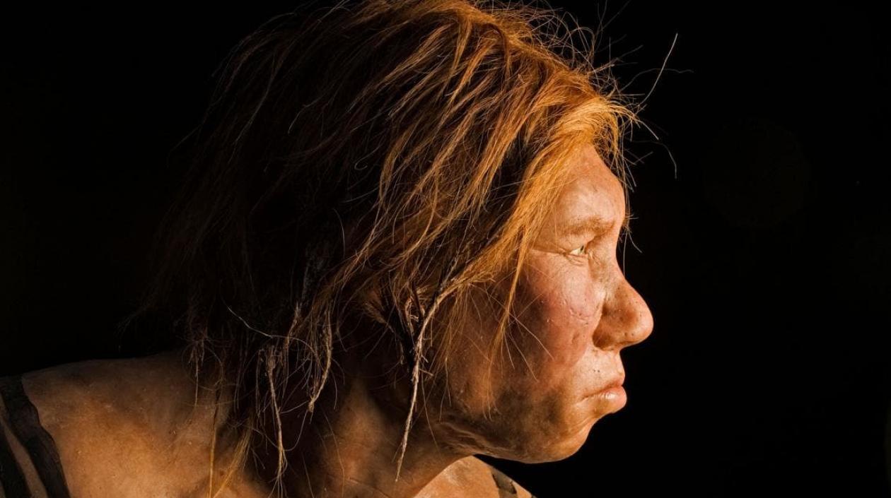 El análisis computacional del ADN humano actual apunta a que la especie desaparecida fue un híbrido de neandertales y denisovanos.