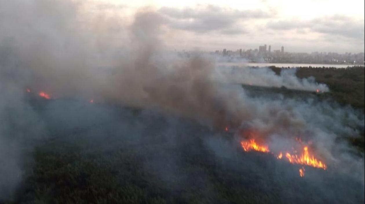 Imagen de las quemas en el parque Isla Salamanca.