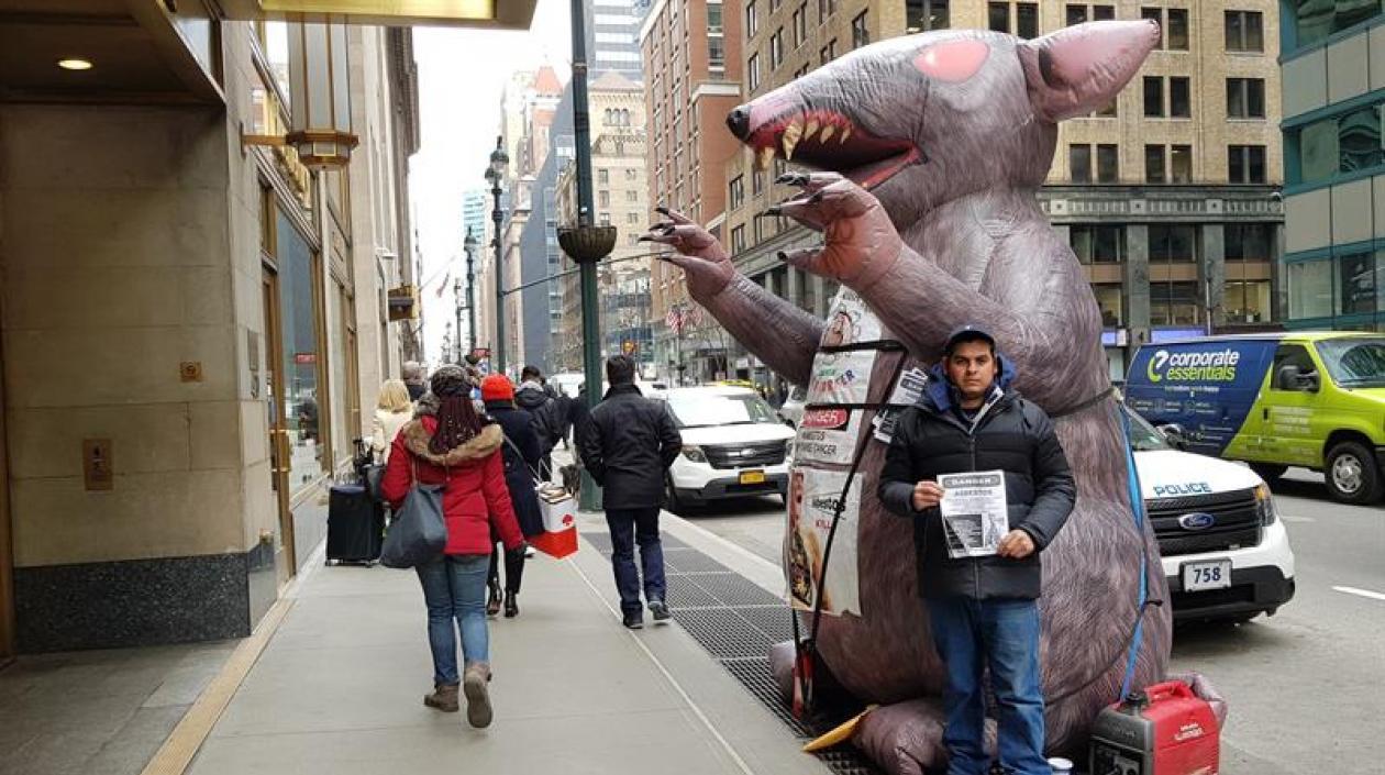 El trabajador ecuatoriano del sindicato Local 78, Kleber Peralta, posa junto a una rata inflable de entre tres y cuatro metros, en una calle de Nueva York.