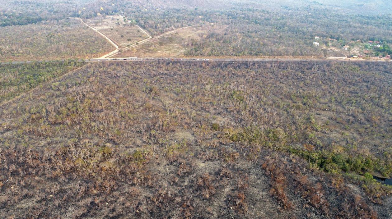 Las imágenes de los incendios que consumen extensas regiones de estados amazónicos de Brasil han causado alarma mundial.