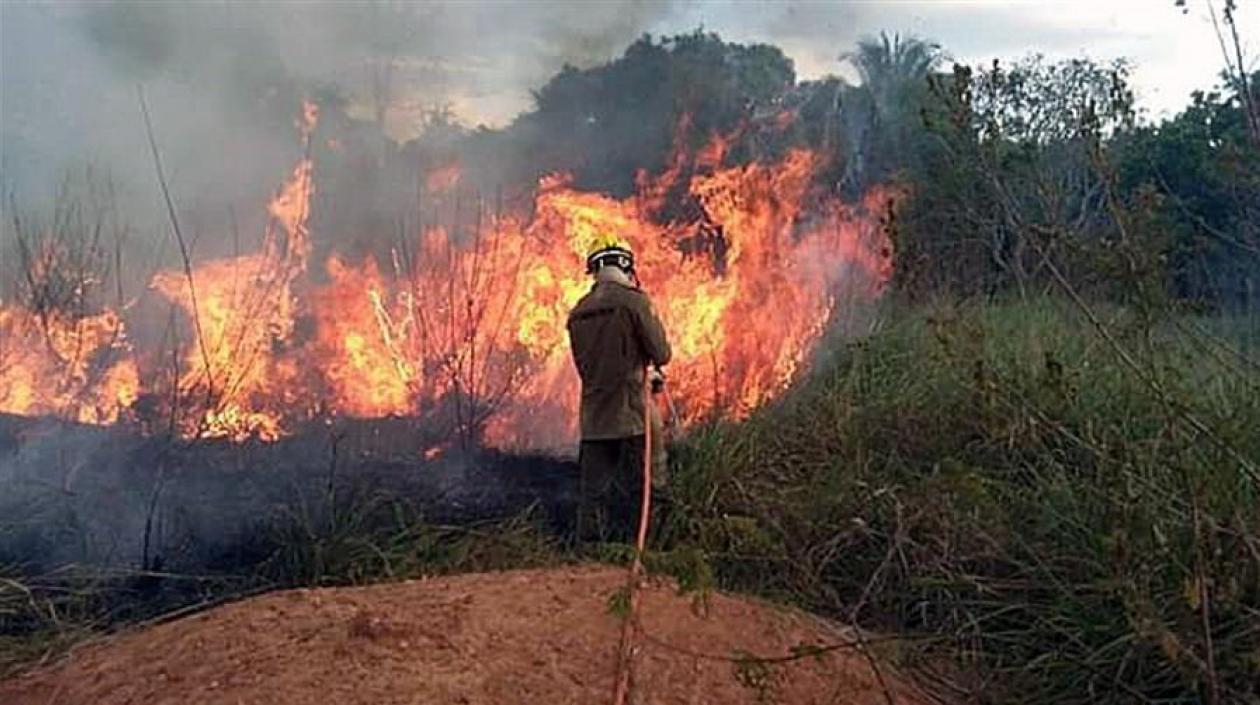 Fotografía cedida por los Bomberos del estado de Acre que muestra a miembros de los bomberos mientras combaten un incendio ayer.