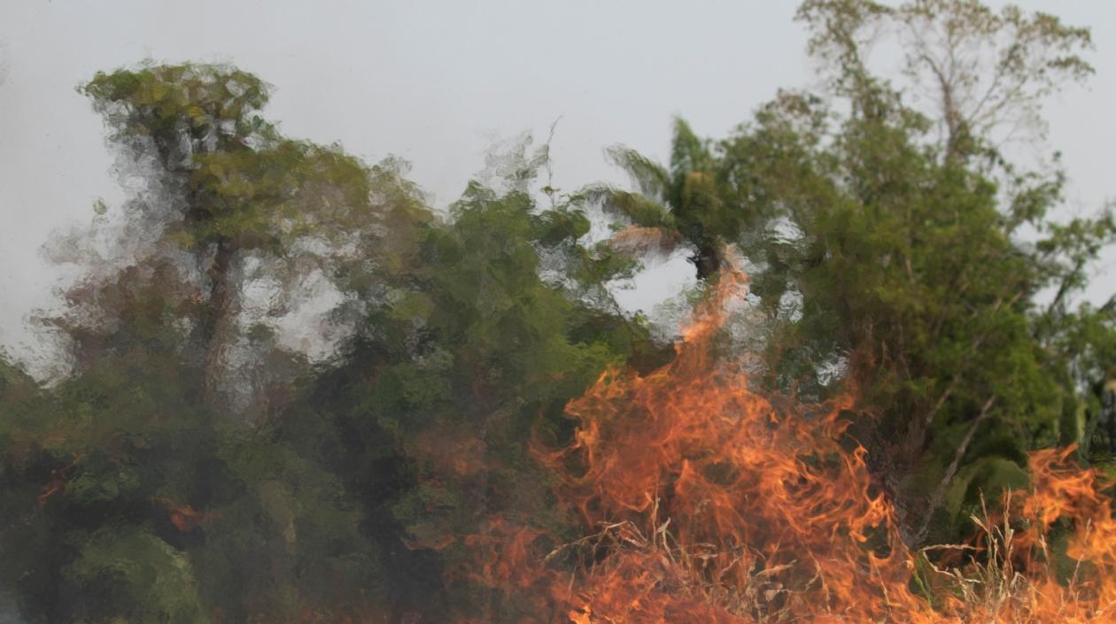  Al menos 1.817 familias y más de 700.000 hectáreas de bosques y pastizales han sido afectadas por los incendios en la zona de la Chiquitania,