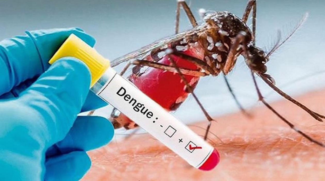 Las autoridades de salud recomiendan seguir las indicaciones para evitar el dengue.