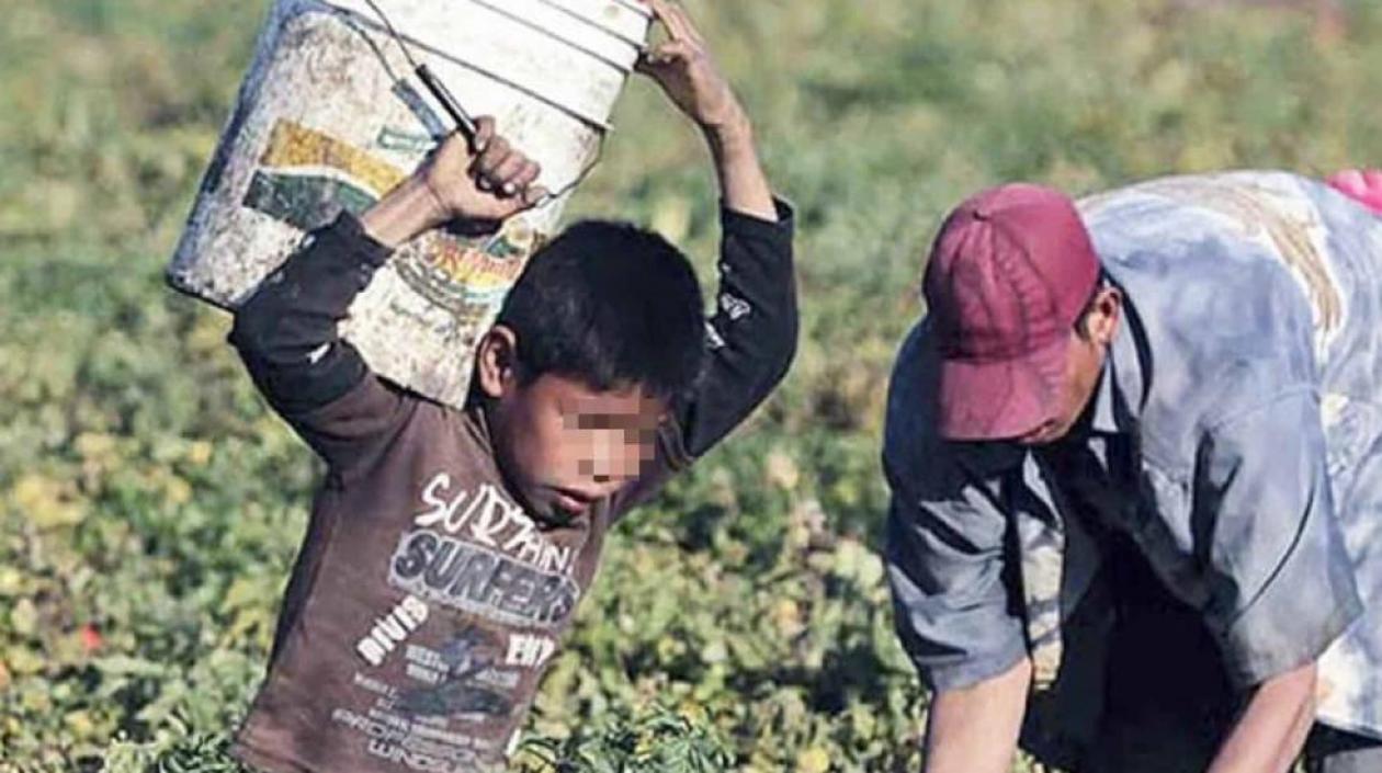 Hay unos 152 millones de niños en el mundo sometidos a explotación laboral.