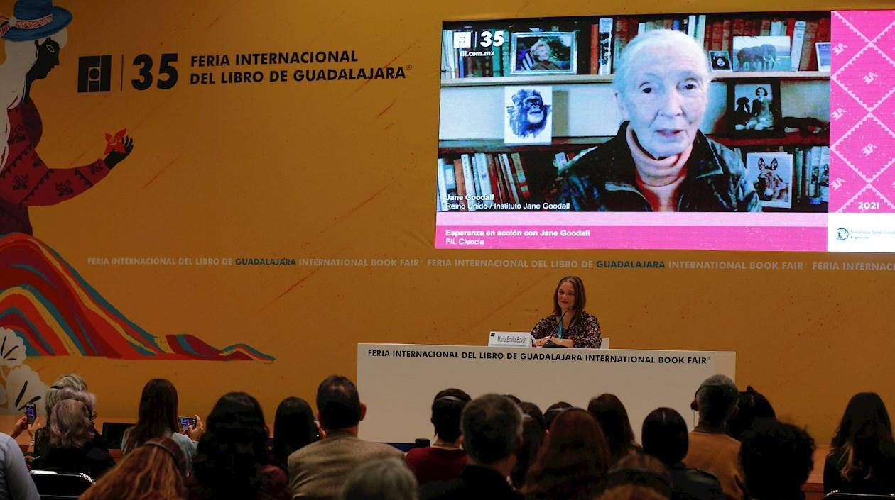 La etóloga inglesa Jane Goodall (pantalla) participa en un conversatorio de manera virtual, durante la 35 edición de la Feria Internacional del Libro (FIL), hoy, en Guadalajara (México). 