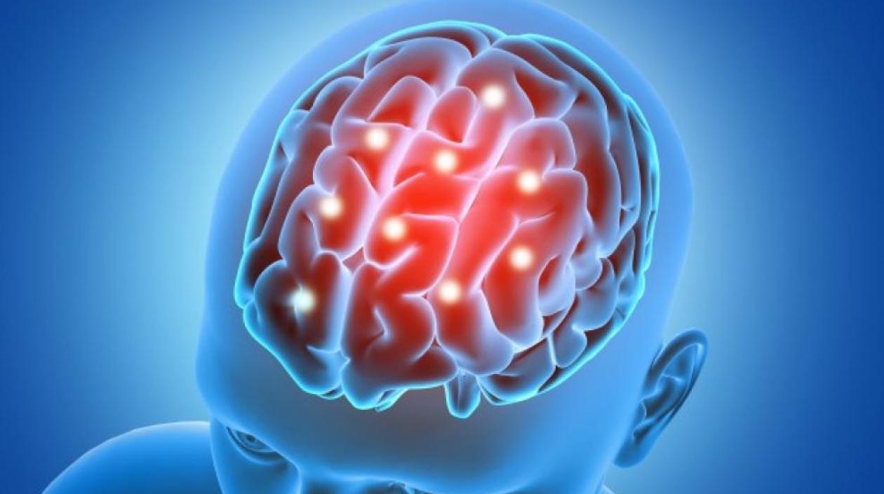  Entre las enfermedades más comunes del cerebro están la migraña, la enfermedad cerebrovascular, la epilepsia y el alzhéimer.
