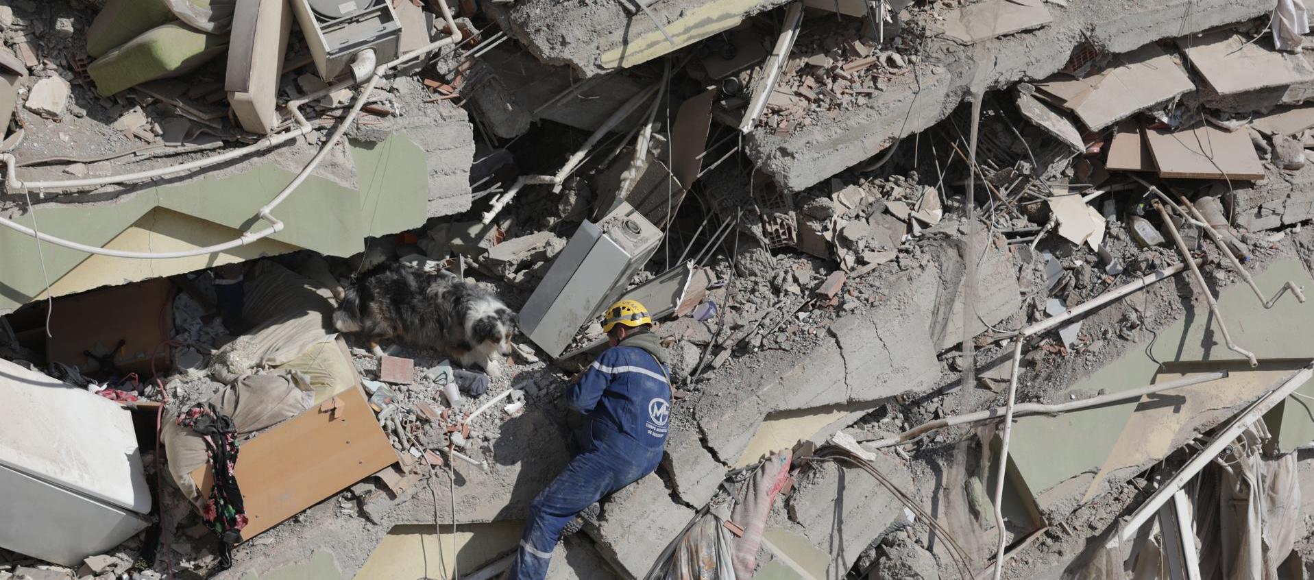 Un rescatista francés y su perro de búsqueda, trabajan para hallar supervivientes entre los escombros de un edificio derrumbado en Kahramanmaras, Turquía.