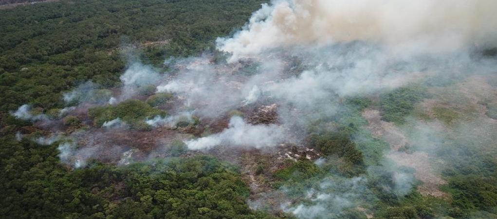 Procuraduría conmina a MinAmbiente a proteger ecosistema del Parque Isla Salamanca
