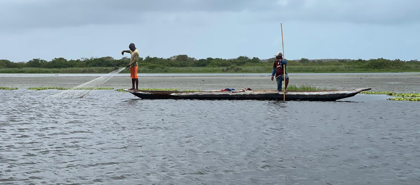 La presencia de plantas acuáticas plantas acuáticas que están afectan la navegación, la pesca y otras actividades náuticas en la Ciénaga del Totumo