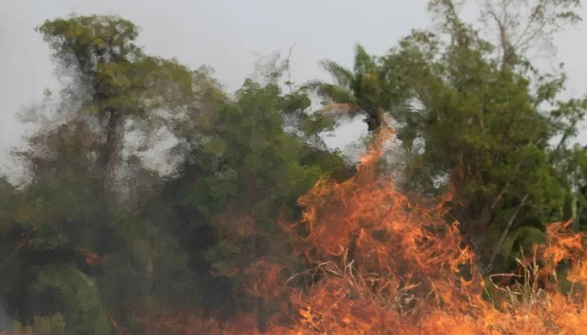  Al menos 1.817 familias y más de 700.000 hectáreas de bosques y pastizales han sido afectadas por los incendios en la zona de la Chiquitania.
