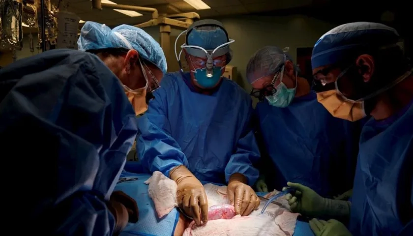 el Dr. Robert Montgomery, junto al equipo quirúrgico mientras realizan el primer xenotrasplante de un riñón de cerdo a un ser humano
