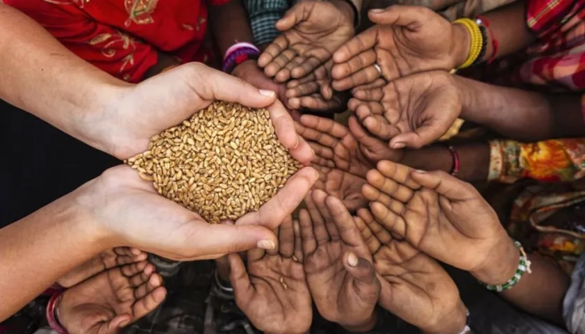 La cifra de habitantes que padecerán hambre en el mundo será de 670 millones en el 2030, según la FAO