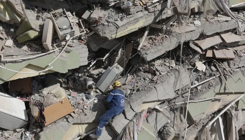 Un rescatista francés y su perro de búsqueda, trabajan para hallar supervivientes entre los escombros de un edificio derrumbado en Kahramanmaras, Turquía