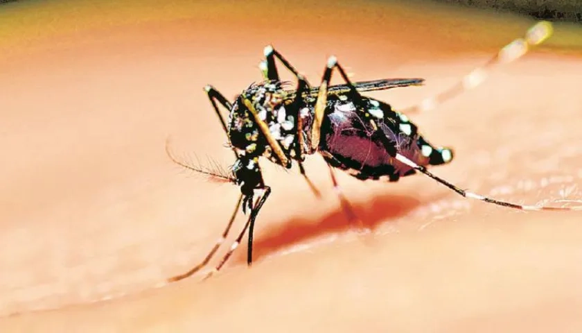 Se prenden las alertas en Sucre por incremento en casos de dengue