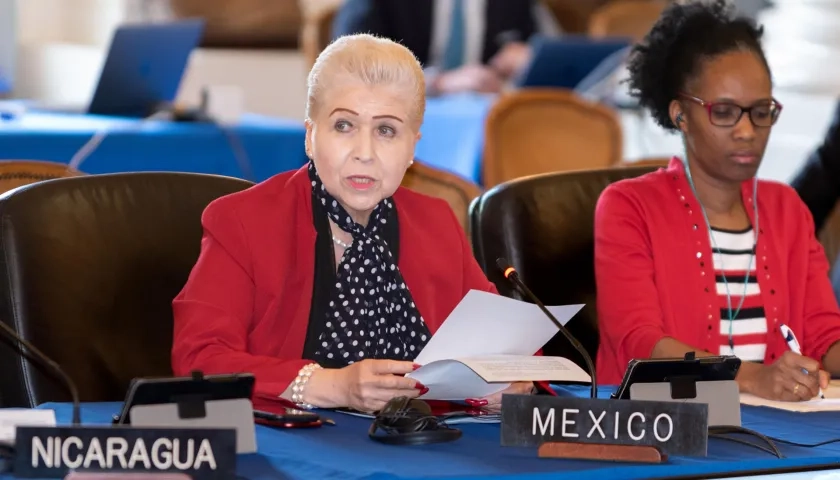 La representante permanente de México, Luz Elena Baños, habla ante la OEA