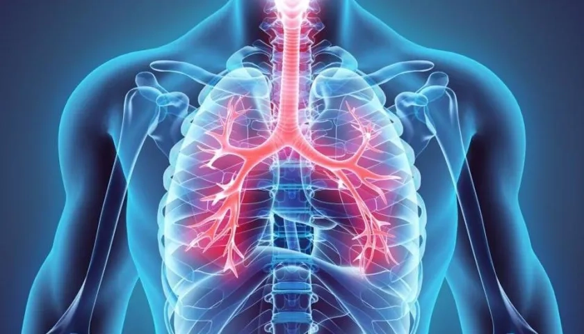 El nuevo mapa servirá para avanzar en la comprensión de las enfermedades pulmonares.