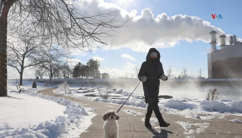 Un ciudadano y su mascota caminan entre la nieve este viernes en Nueva York