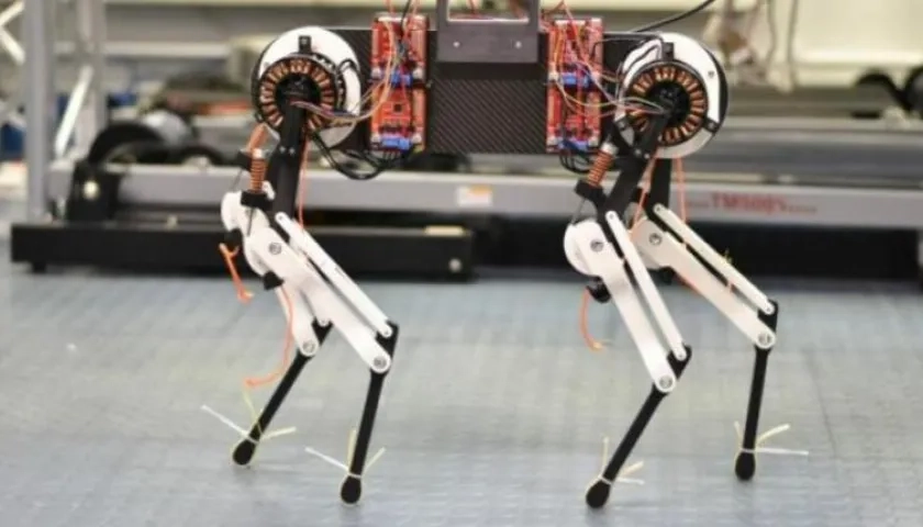 El robot es capaz de caminar a una velocidad de 5,4 milímetros por minuto 