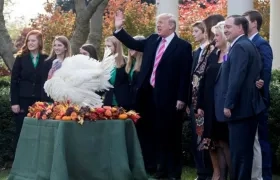  El presidente de los Estados Unidos, Donald J. Trump (c), indultada al pavo de nombre "Drumstick" junto a la primera dama, Melania Trump (4-d).