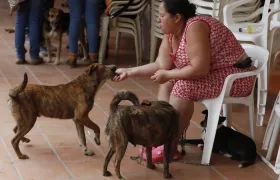 Ana Cristina Martínez juega con sus perros.