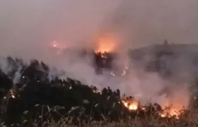 Incendio forestal en Chitaga, Norte de Santander.