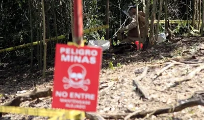 Un total de 221 personas fueron víctimas de minas antipersona