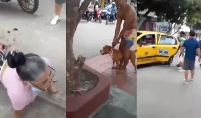 Ataque de un perro a una mujer