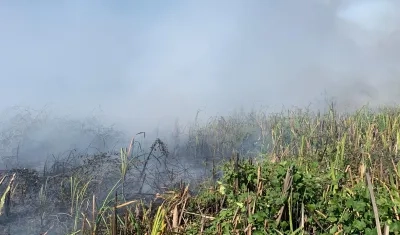Incendio en el Parque Isla Salamanca