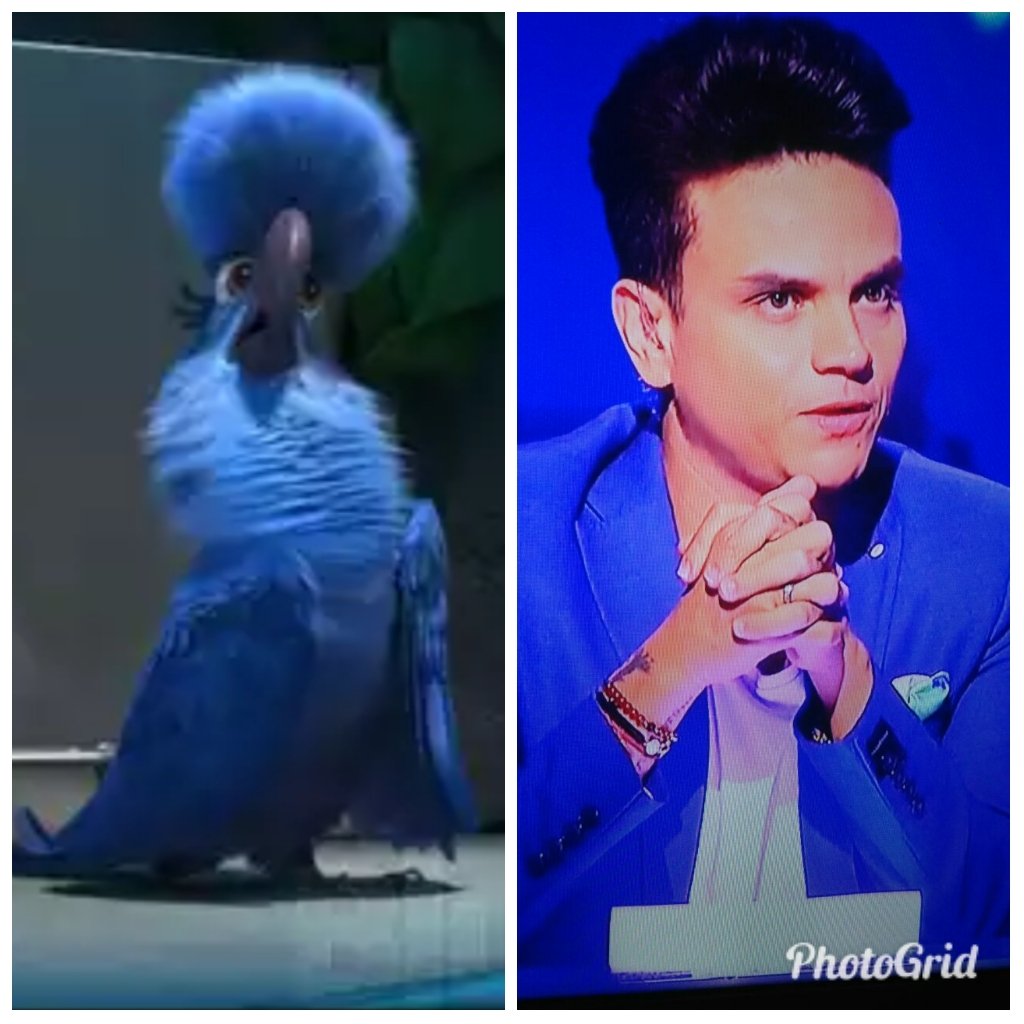 Meme Silvestre Dangond.