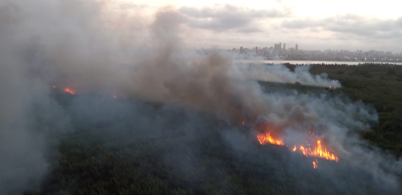 Incendio en el parque Isla Salamanca.