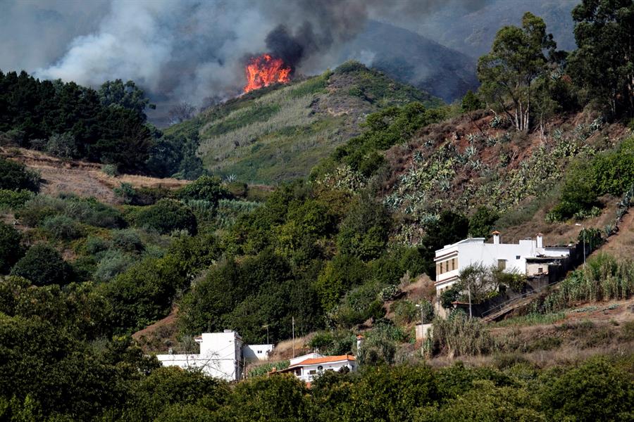 El humo procedente del Incendio en la cumbre de Gran Canaria, desde el casco del municipio de Moya, donde se ve el avance de las llamas. 